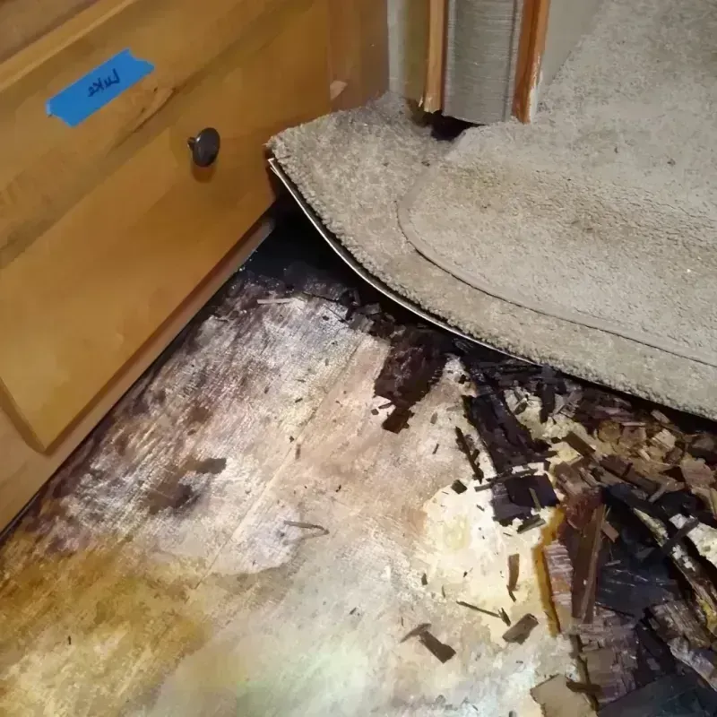 Wood Floor Water Damage in North Middletown, NJ